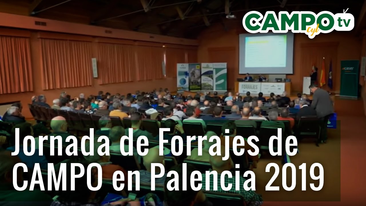 Jornada de Forrajes de CAMPO en Palencia 2019