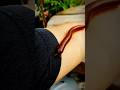 Giant Milipede Jalan Ditangan Om Brut, Geli Geli Serem 😱 #shorts #milipede ##ombrut
