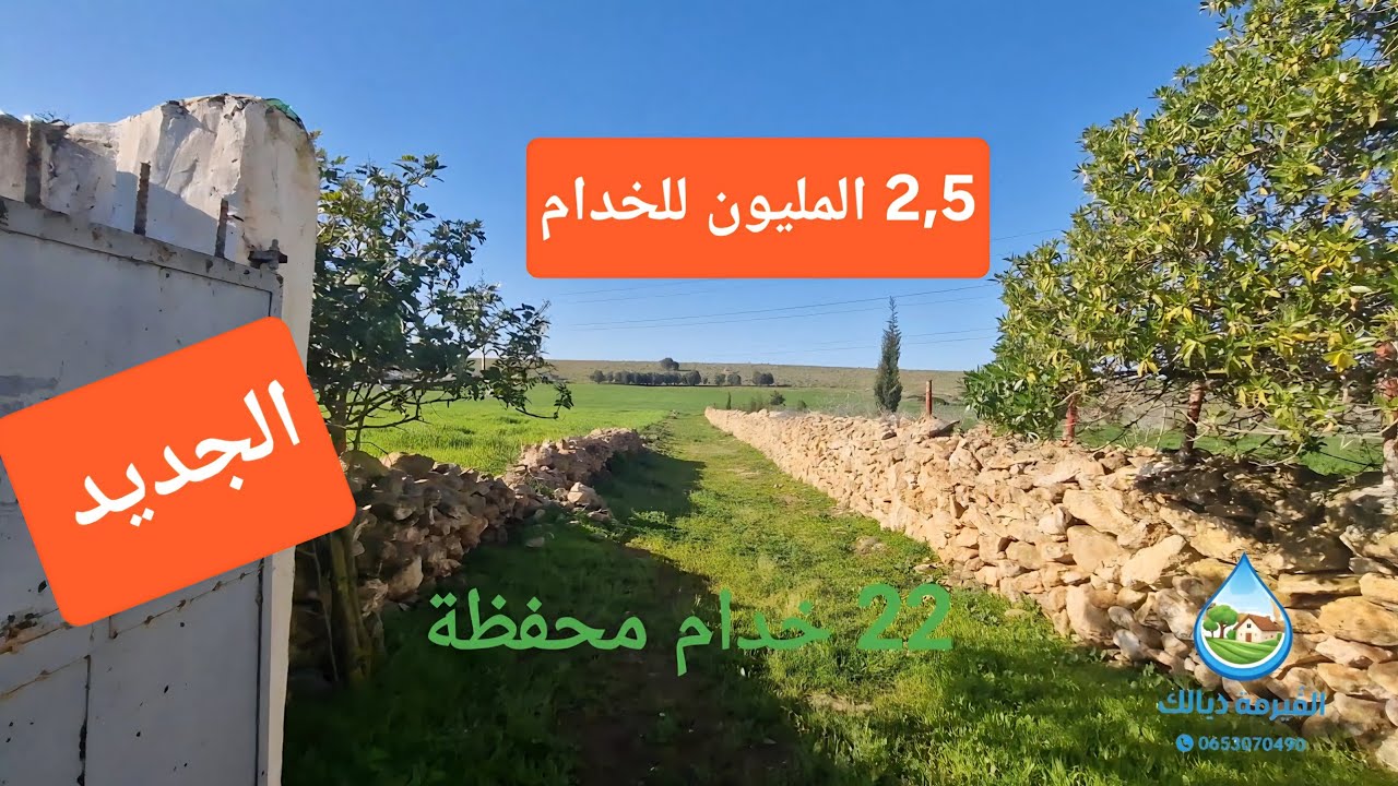 فيرمة 22 خدام  محفظة بالمنزل والبئر وأشجار الزيتون  28 كلم على الجديدة. 