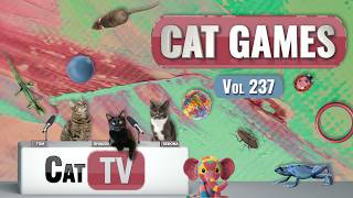 CAT Games | Ultimate Cat TV Compilation Vol 237 | 8 HOURS 🐝🐞🦋🦎🦜🐜🐭🧵 screenshot 4