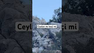 Ne Olduğunu Bilemedik Ğlar Şif Ilık