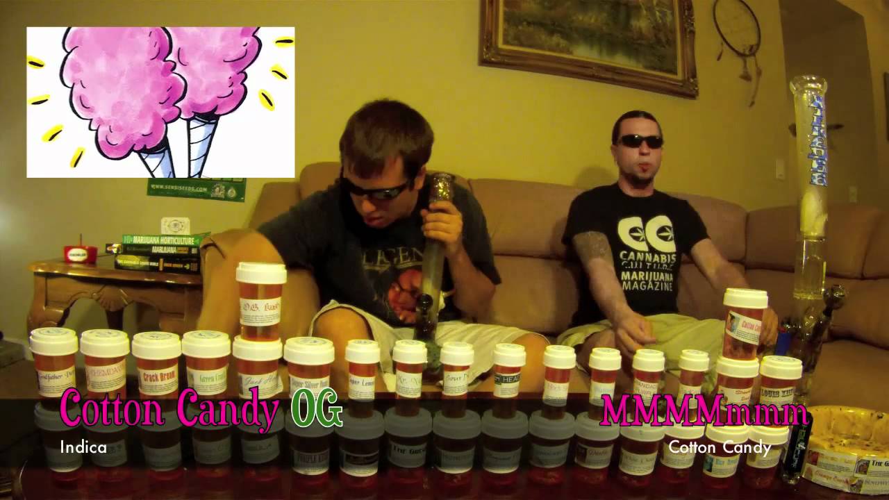 weed wars e6.mov