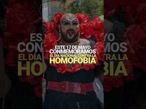Día Nacional contra la Homofobia, Lesbofobia, Bifobia y la Transfobia