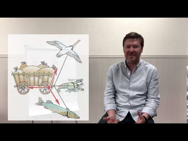 краткое учебное содержание урока