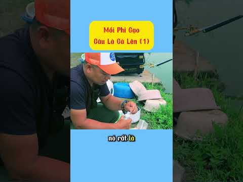 Câu rô phi đơn giản mà cá dính liên tục, không tin thì xem! #caucathugian #fishing #thinhhanh