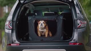 Land Rover Accessories - Landy & Rover Foldable Pet Carrier
