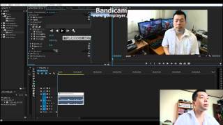 【動画編集】AdobeのPremiereProでモザイクを追従させるのは簡単です！