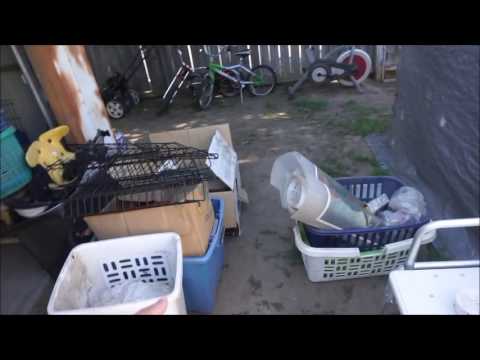 Anna Vlogs; A Turtle?! makeup artist