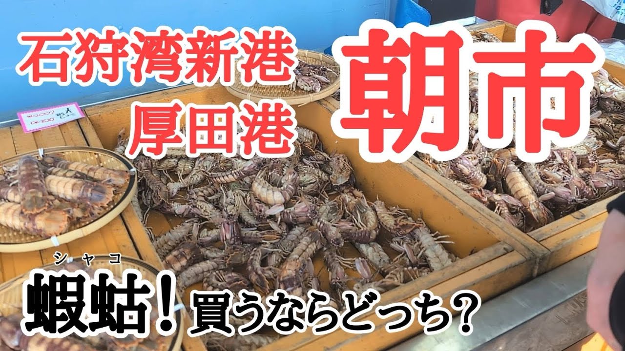 石狩 湾 新港 朝市