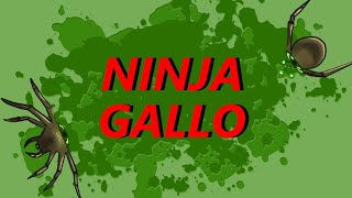 Ninja Gallo | Godot screenshot 2