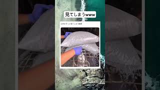 おもろいよなぁwww #作業#おもしろ#楽しい#最高#いいね|笑撃チャンネル【面白ネタ集】