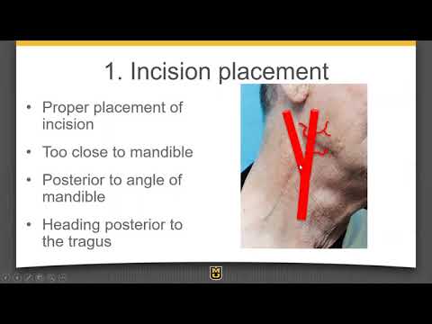 HIDI - Distal Common Carotid Artery Exposure