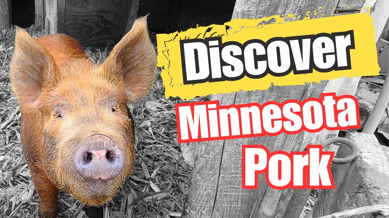 Inside look: Minnesota's top pig farm secrets