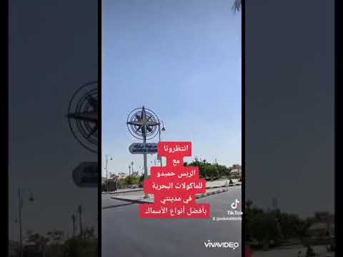 مطعم الريس حميدو للماكولات البحرية قريبا من قلب مدينتي