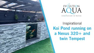 Self Built Koi Pond - Evolution Aqua Nexus and Twin Tempest!