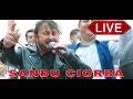 Sandu Ciorba - Jocuri tiganesti - Live Pitulari