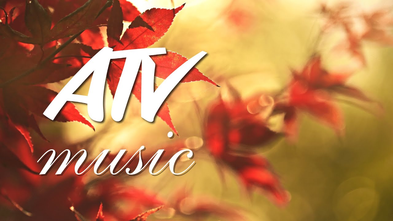 Шедевр Современной Музыки 💎 Очень Красивое Видео для Души! Антистресс Музыка