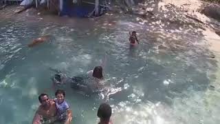 Morning swims. Mer Island Torres Strait