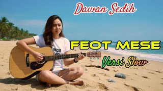 FEOT MESE  || VERSI SLOW COVER_AITINA