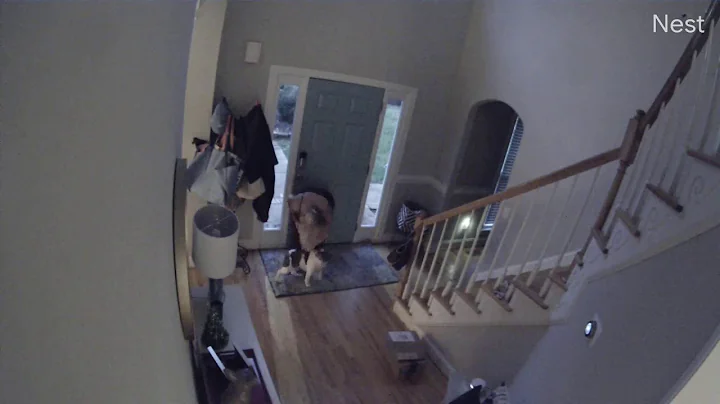 This is why I setup cameras inside the house.