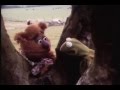 Muppet Movie 1979 camera test: The banter is so hilariously improvised.