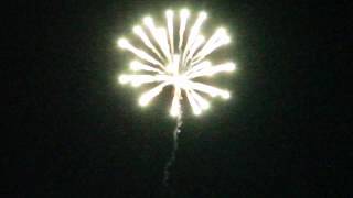 3 Inch Palm Tree with Silver Tail BDS3041 Display Fireworks Shell