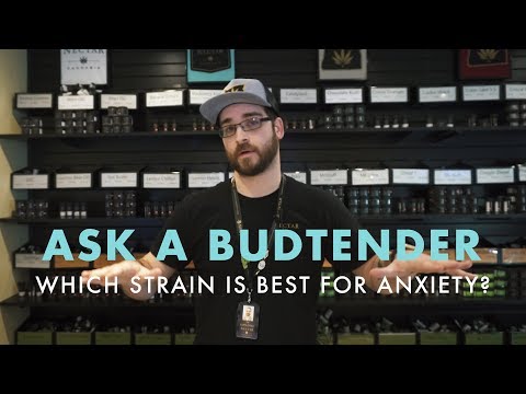 Which Strain Is Best For Anxiety | Ask A Budtender
