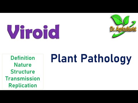 Video: Viroïde plantsiektes – hoe viroïede verskil van virusse