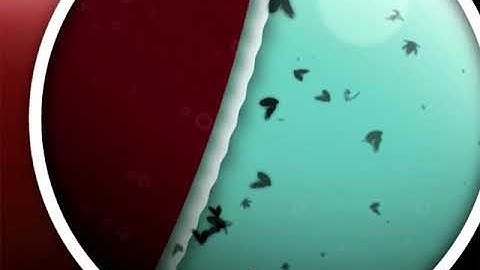 Hempel Silic One Explanation video