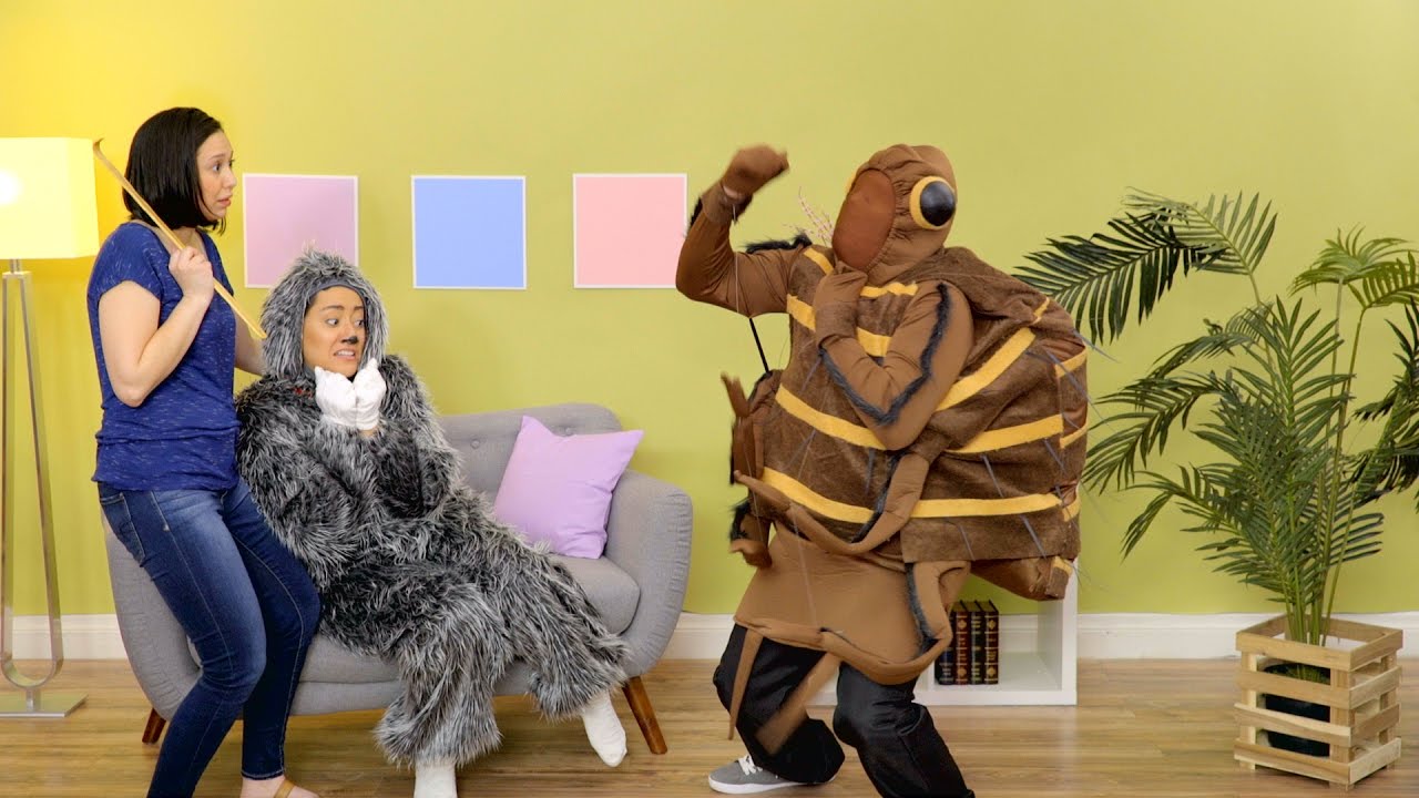 hartz flea shampoo for dogs