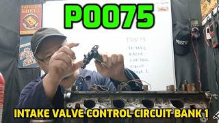 What Causes P0075 Code Intake Valve Control Circuit and How to Fix it Profile