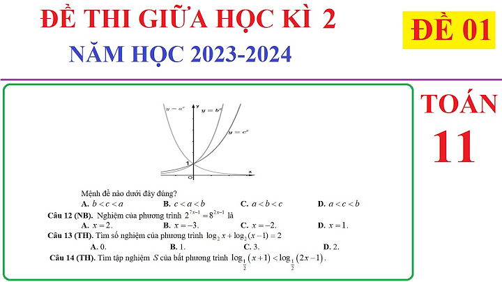 Bài tập toán tự luận 11 có đáp án năm 2024