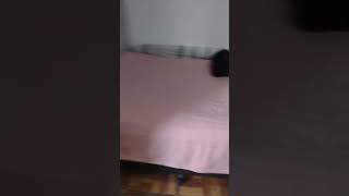 Eu Dedeia Arrumando A Vasa