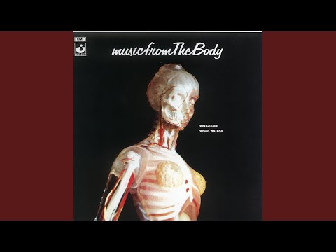 Putar Embryonic Womb Walk - Roger Waters