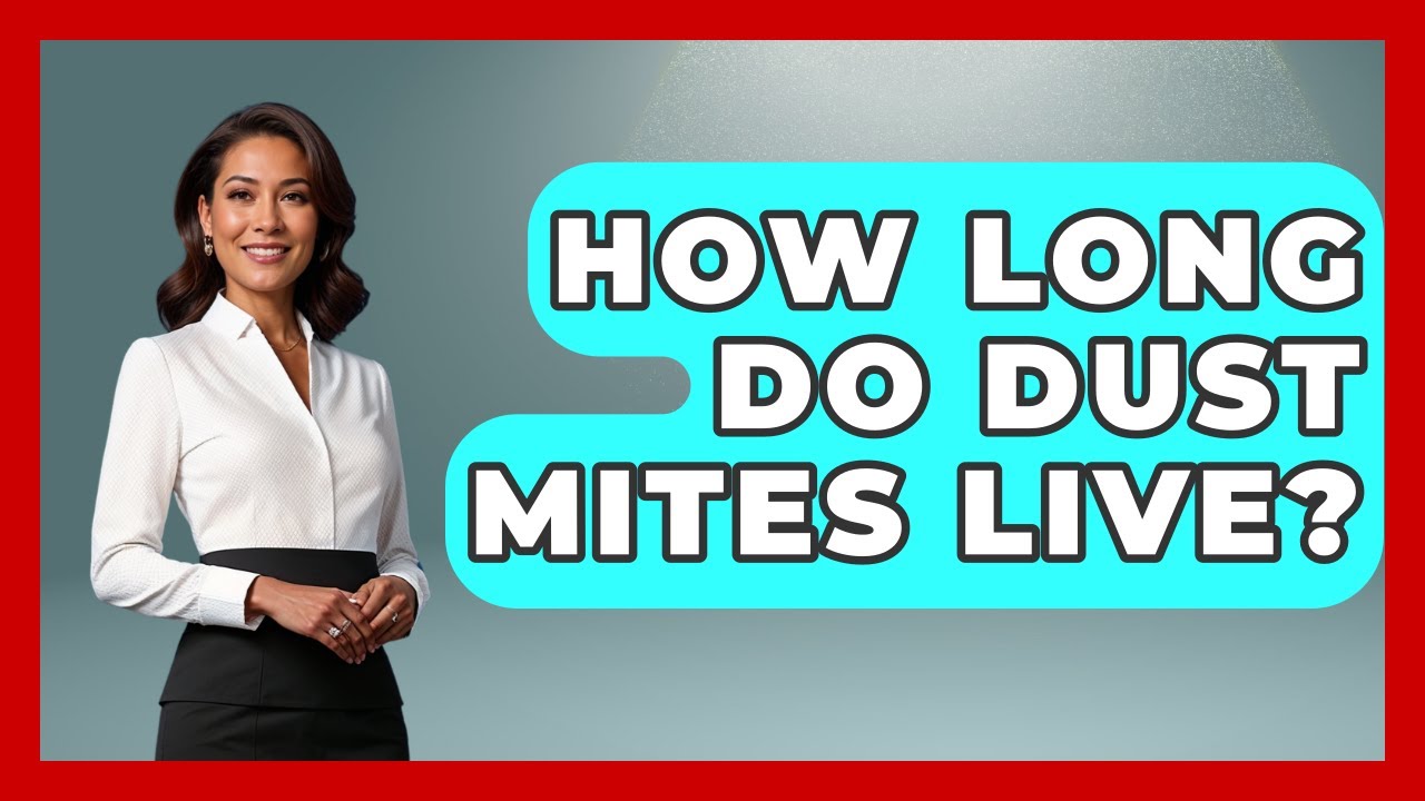 How Long Do Dust Mites Live? - Ear Nose Throat Expert