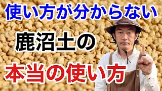 【みんな買わない】鹿沼土の驚くべき性質を利用して下さい　　　　　【カーメン君】【ガーデニング】【園芸】【初心者】