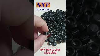 NXF USN A36/DIN17100/10025-2/G3101 Diameter M6-M60 A36 Fastener Black Oxide Hex Socket Pipe Plug