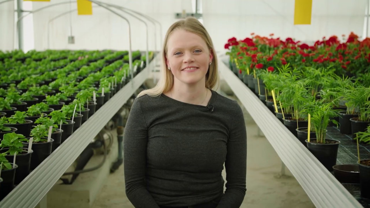 GARTENMYTHEN IM CHECK: FLORAGARD KLÄRT AUF | Styropor in der Blumenerde?