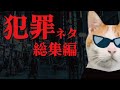 絶対マネしないで！猫が犯罪を犯したネタ集【猫アニメ】【コント】