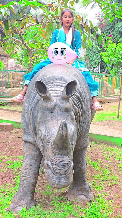 Rhinos Popping Balloon Challenge 😜 🤩 🤣 #shorts