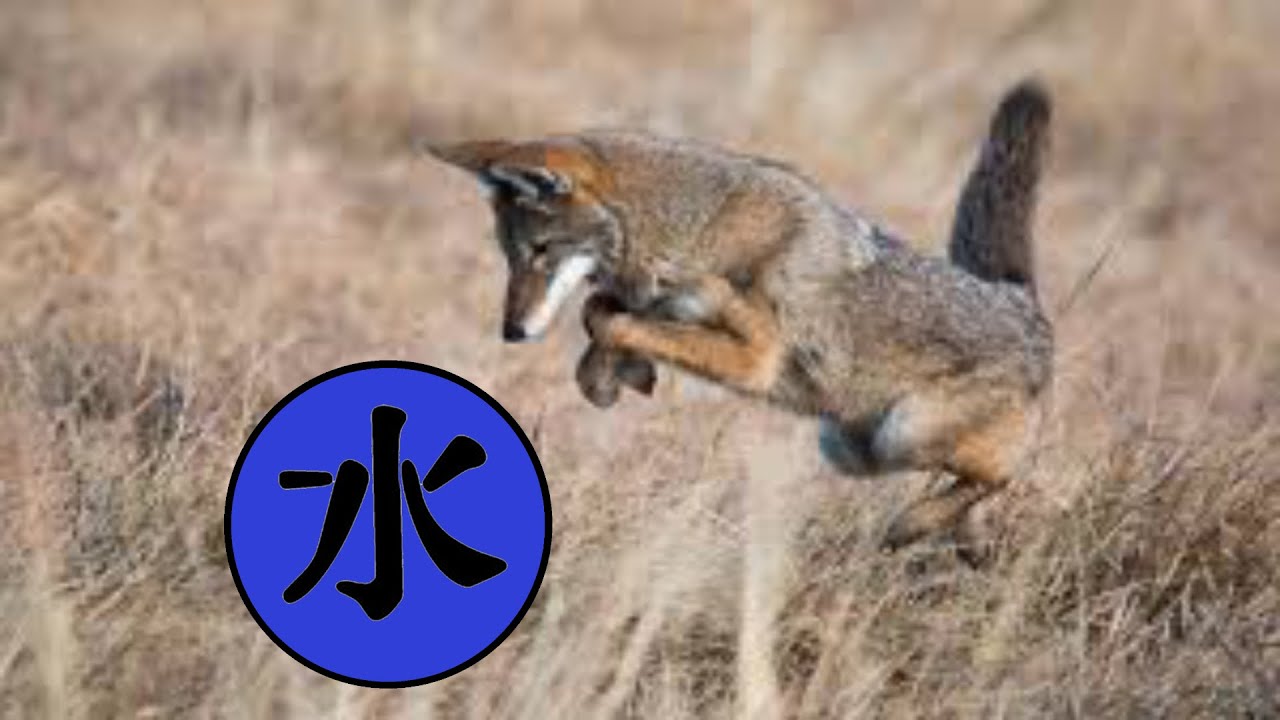 Nature – Storms over Sulphur Springs Valley, Cochise County, AZ