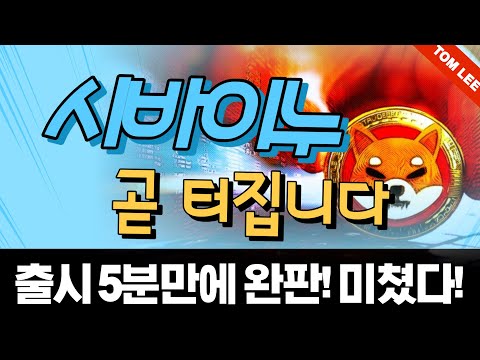   시바이누 여러분 정말 대박입니다 시바이누 시바이누코인전망 시바이누분석 바이누시시세