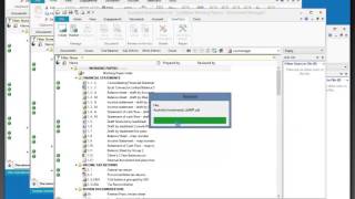 Publishing entities to the CaseWare Cloud