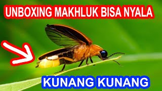 UNBOXING MAKHLUK BISA NYALA KUNANG KUNANG
