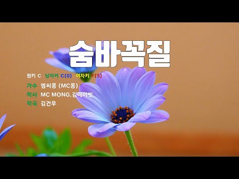 [은성 반주기] 숨바꼭질 - 엠씨몽(MC몽)
