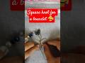 Sliding a square knot for a bracelet #beading #jewlerymaking #bracelet