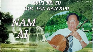 NSUT Ba Tu Độc Tấu Đàn Kìm Bài Nam Ai