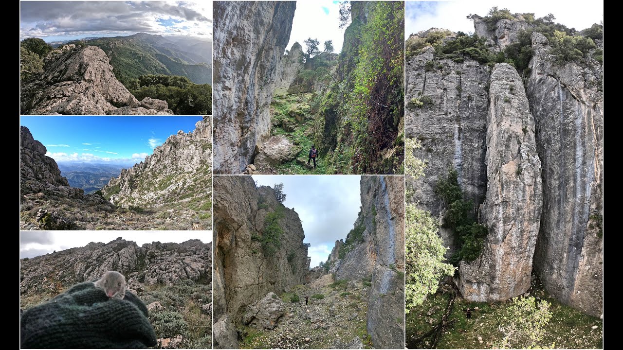 Sa Hascia Afrishà  - Punta Corrasi - Punta Cateddu (Supramonte Oliena - Orgosolo, Sardinia)