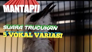 Suara Trucukan 5 Kombinasi 2021