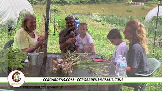 Passport to Pittsburgh Adventures - Urban Farming
